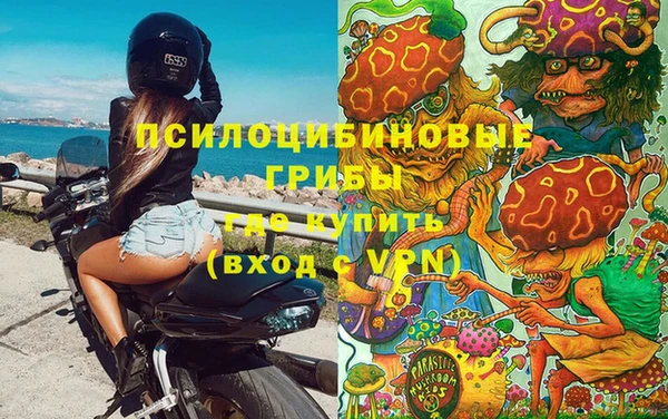 спиды Нефтекумск