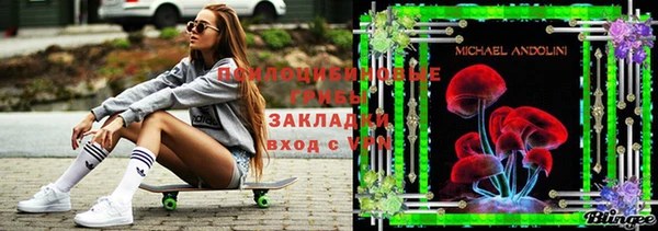 спиды Нефтекумск